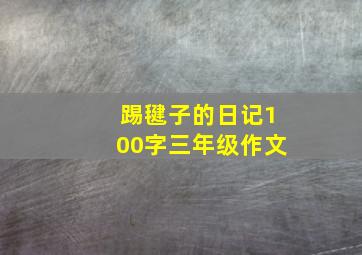 踢毽子的日记100字三年级作文