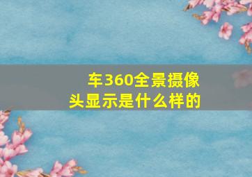 车360全景摄像头显示是什么样的