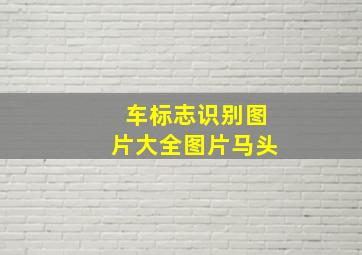 车标志识别图片大全图片马头