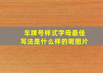 车牌号样式字母最佳写法是什么样的呢图片