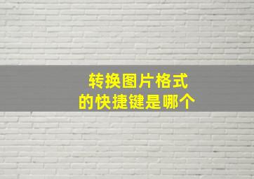 转换图片格式的快捷键是哪个