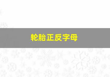 轮胎正反字母