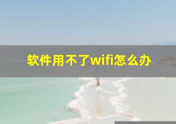 软件用不了wifi怎么办