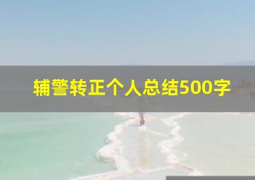 辅警转正个人总结500字