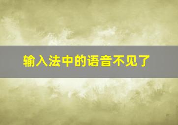 输入法中的语音不见了