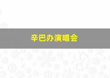 辛巴办演唱会