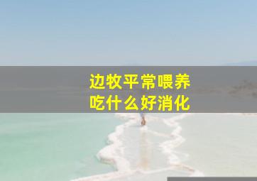 边牧平常喂养吃什么好消化