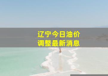 辽宁今日油价调整最新消息