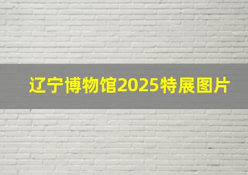 辽宁博物馆2025特展图片