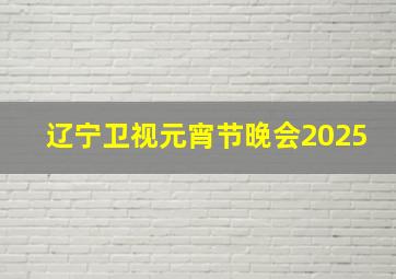 辽宁卫视元宵节晚会2025