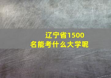 辽宁省1500名能考什么大学呢