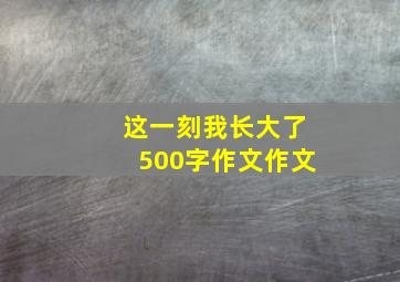 这一刻我长大了500字作文作文