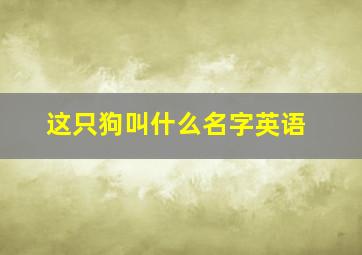 这只狗叫什么名字英语