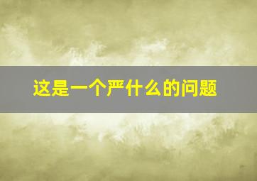 这是一个严什么的问题