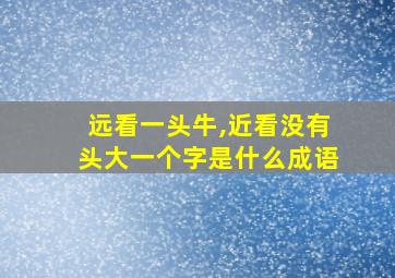 远看一头牛,近看没有头大一个字是什么成语