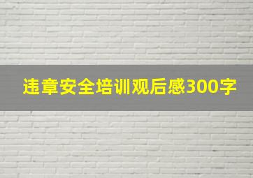 违章安全培训观后感300字