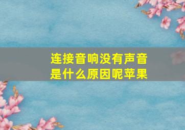 连接音响没有声音是什么原因呢苹果