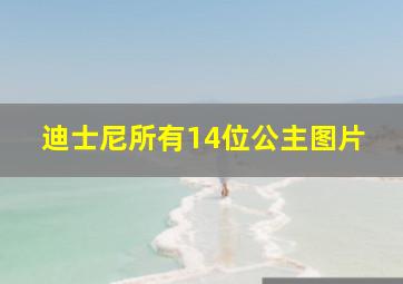 迪士尼所有14位公主图片