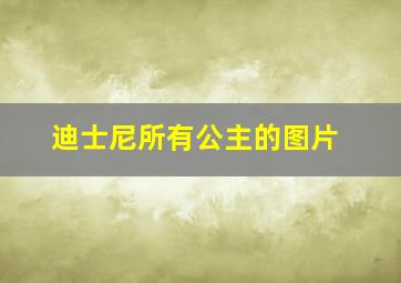 迪士尼所有公主的图片