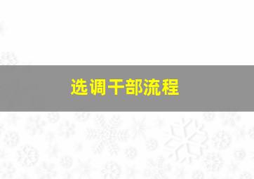 选调干部流程