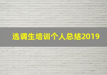 选调生培训个人总结2019