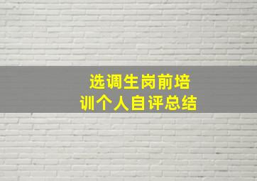 选调生岗前培训个人自评总结