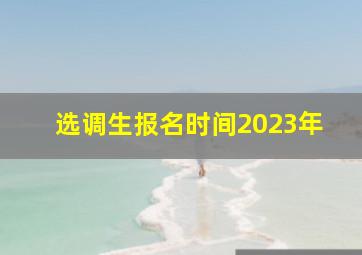 选调生报名时间2023年