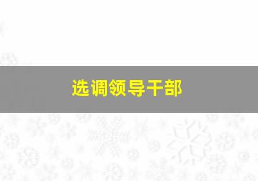 选调领导干部