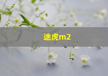 途虎m2