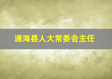 通海县人大常委会主任