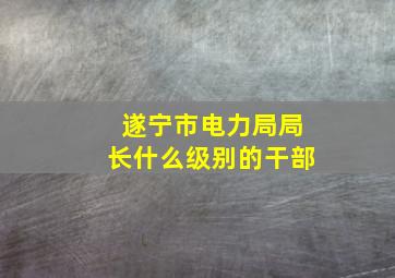 遂宁市电力局局长什么级别的干部