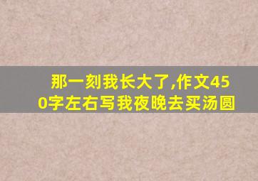 那一刻我长大了,作文450字左右写我夜晚去买汤圆