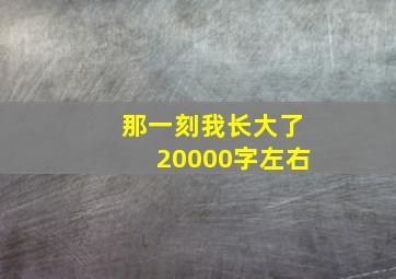 那一刻我长大了20000字左右