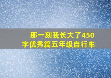 那一刻我长大了450字优秀篇五年级自行车