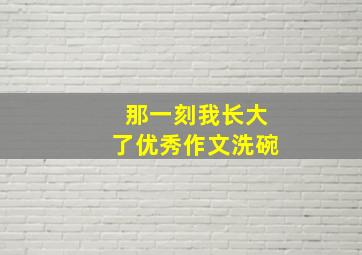 那一刻我长大了优秀作文洗碗