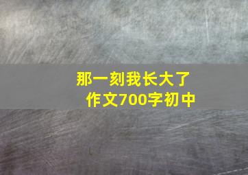 那一刻我长大了作文700字初中