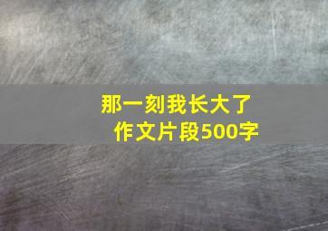 那一刻我长大了作文片段500字