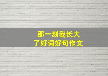 那一刻我长大了好词好句作文