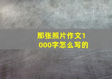 那张照片作文1000字怎么写的