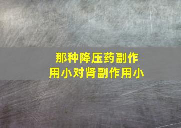 那种降压药副作用小对肾副作用小