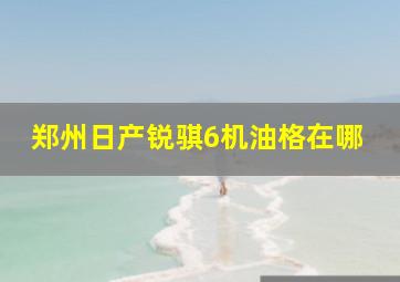 郑州日产锐骐6机油格在哪