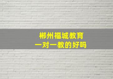 郴州福城教育一对一教的好吗