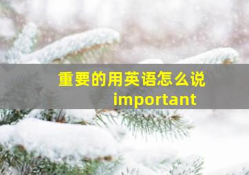 重要的用英语怎么说important