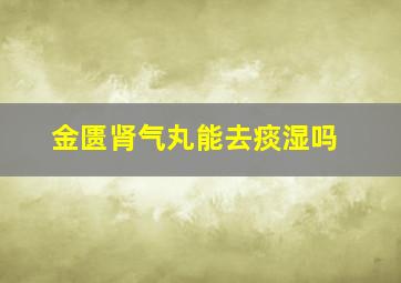 金匮肾气丸能去痰湿吗