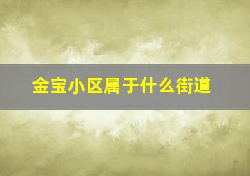 金宝小区属于什么街道