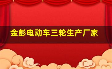 金彭电动车三轮生产厂家