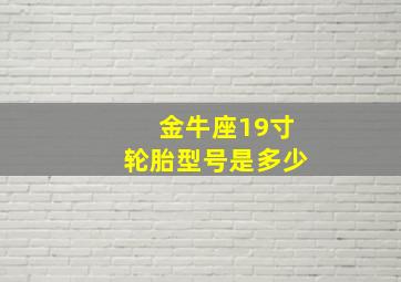 金牛座19寸轮胎型号是多少