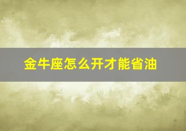 金牛座怎么开才能省油