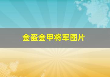 金盔金甲将军图片