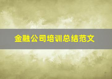 金融公司培训总结范文